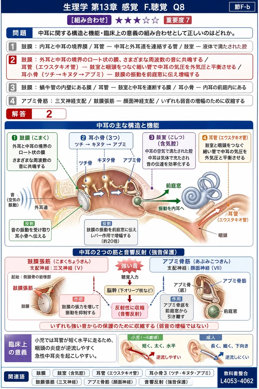 中耳に関する構造と機能・臨床上の意義の組み合わせとして正しいのはどれか。 解説図