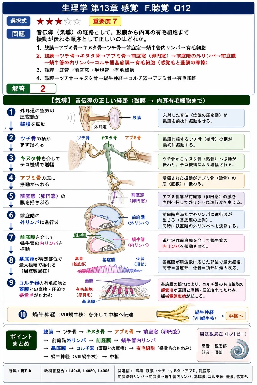 音伝導(気導)の経路として、鼓膜から内耳の有毛細胞まで振動が伝わる順序として正しいのはどれか。 解説図