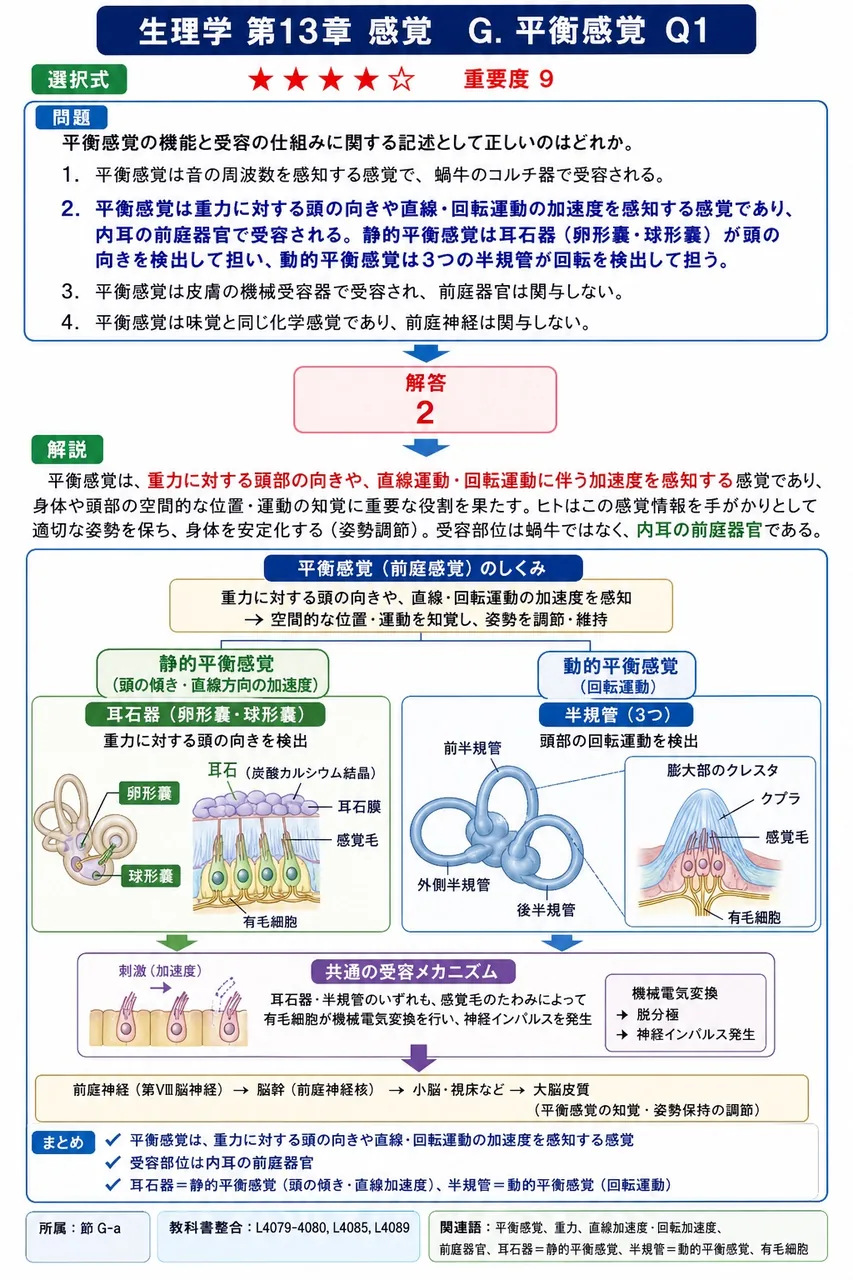 平衡感覚の機能と受容の仕組みに関する記述として正しいのはどれか。 解説図