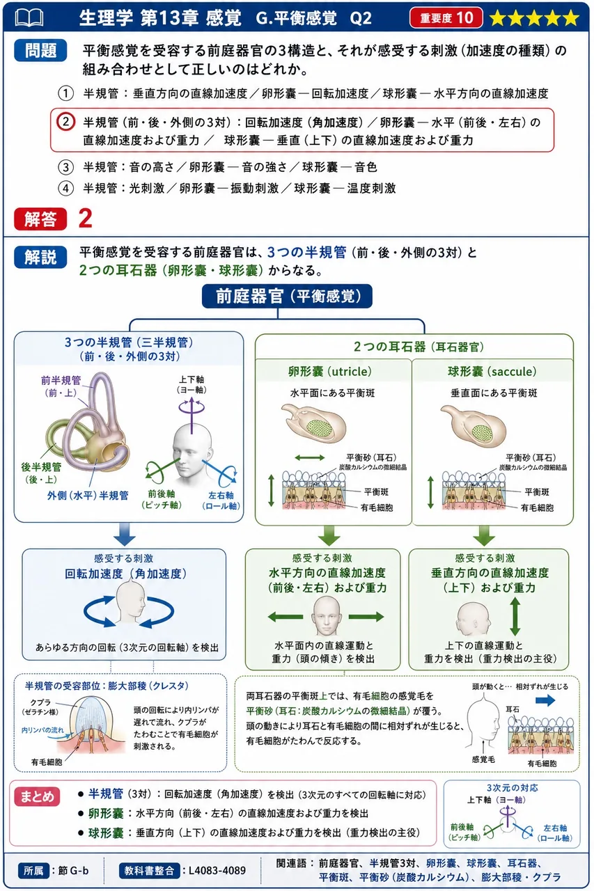 平衡感覚を受容する前庭器官の3構造と、それが感受する刺激（加速度の種類）の組み合わせとして正しいのはどれか。 解説図