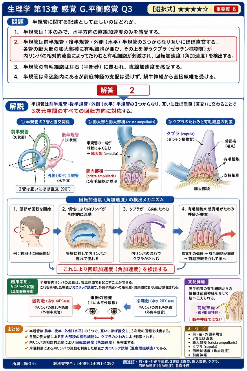 半規管に関する記述として正しいのはどれか。 解説図