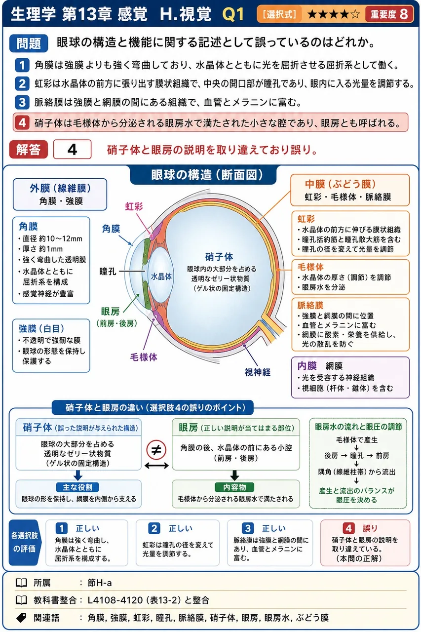眼球の構造と機能に関する記述として**誤っている**のはどれか。 解説図
