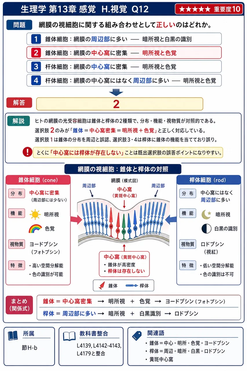 網膜の視細胞に関する組み合わせとして**正しい**のはどれか。 解説図