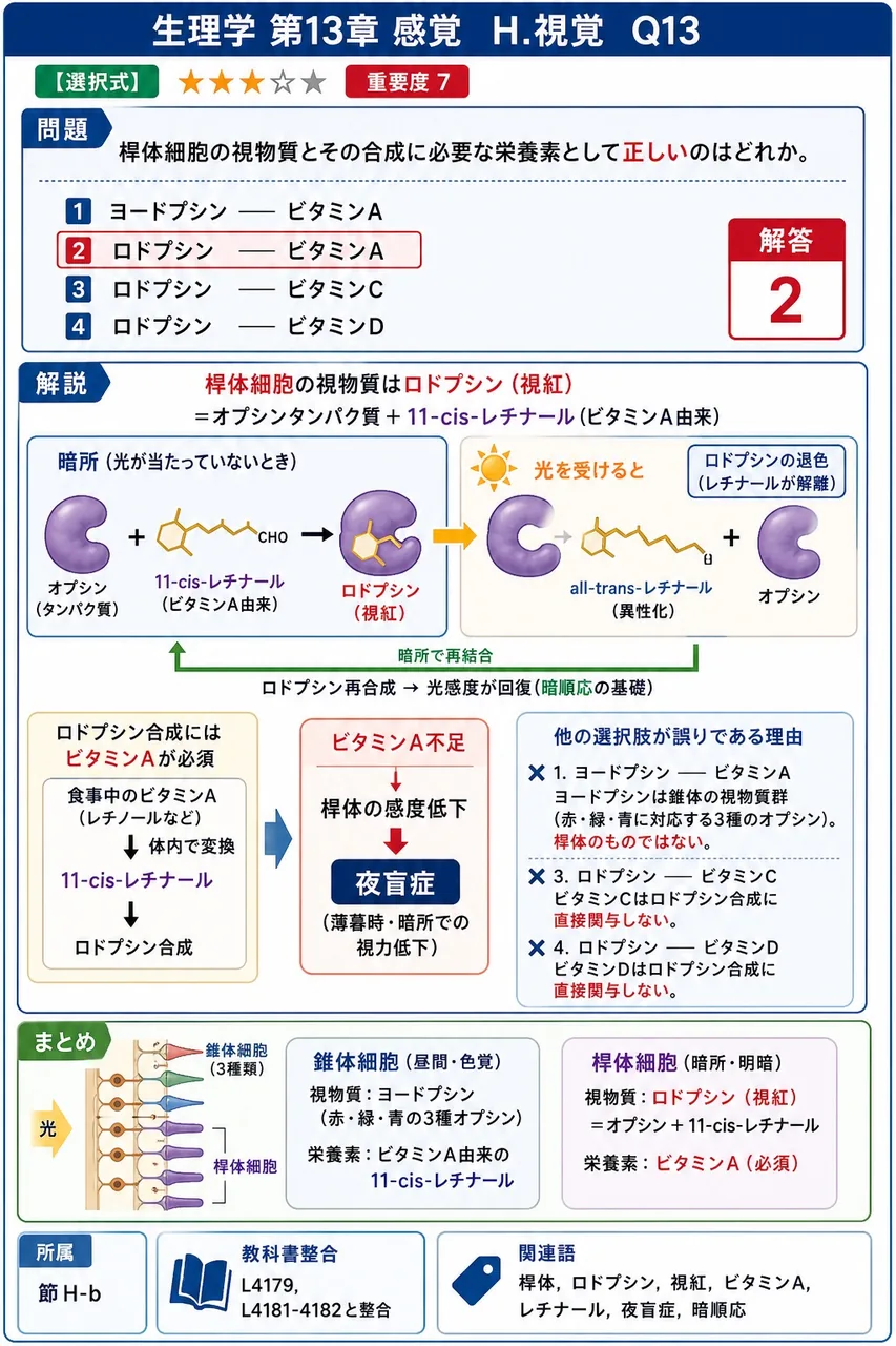 桿体細胞の視物質とその合成に必要な栄養素として**正しい**のはどれか。 解説図