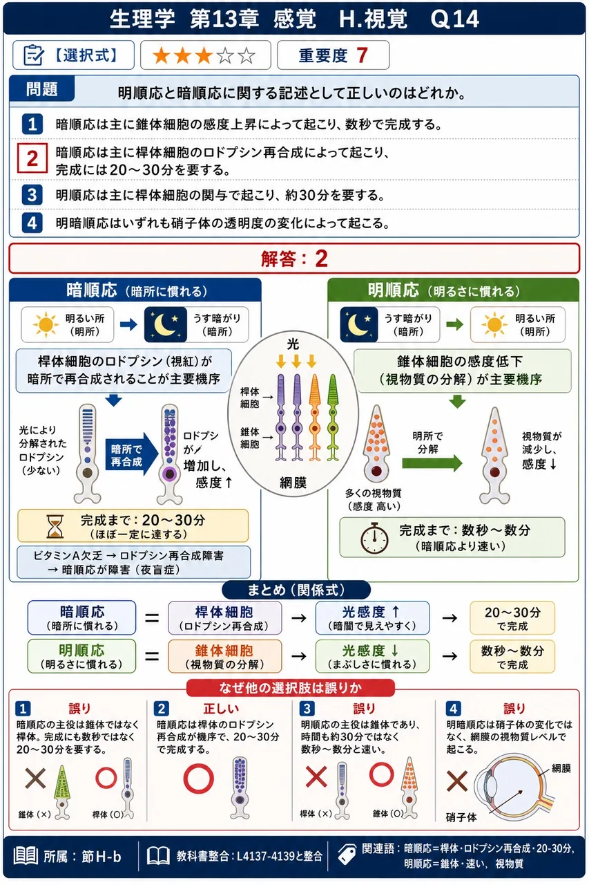 明順応と暗順応に関する記述として**正しい**のはどれか。 解説図