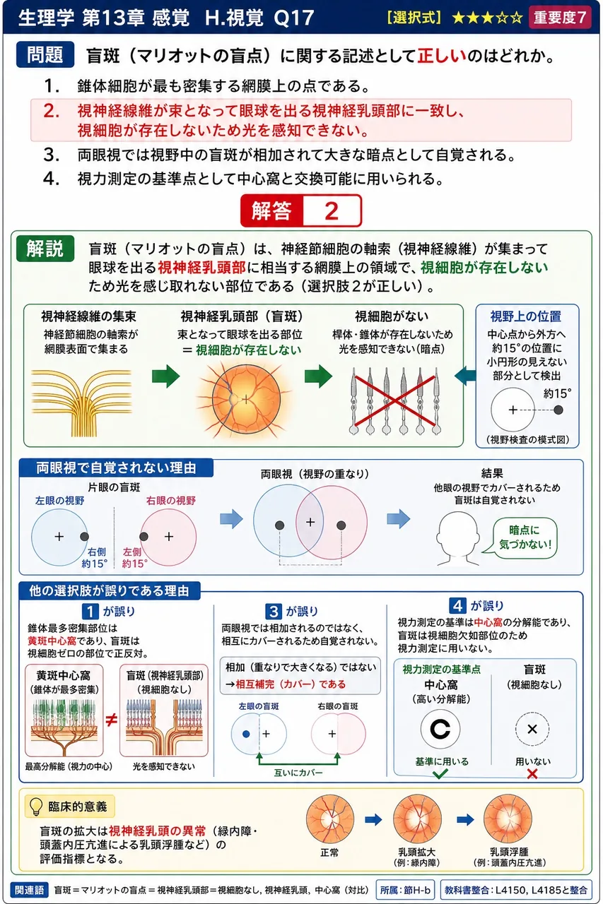 盲斑（マリオットの盲点）に関する記述として**正しい**のはどれか。 解説図