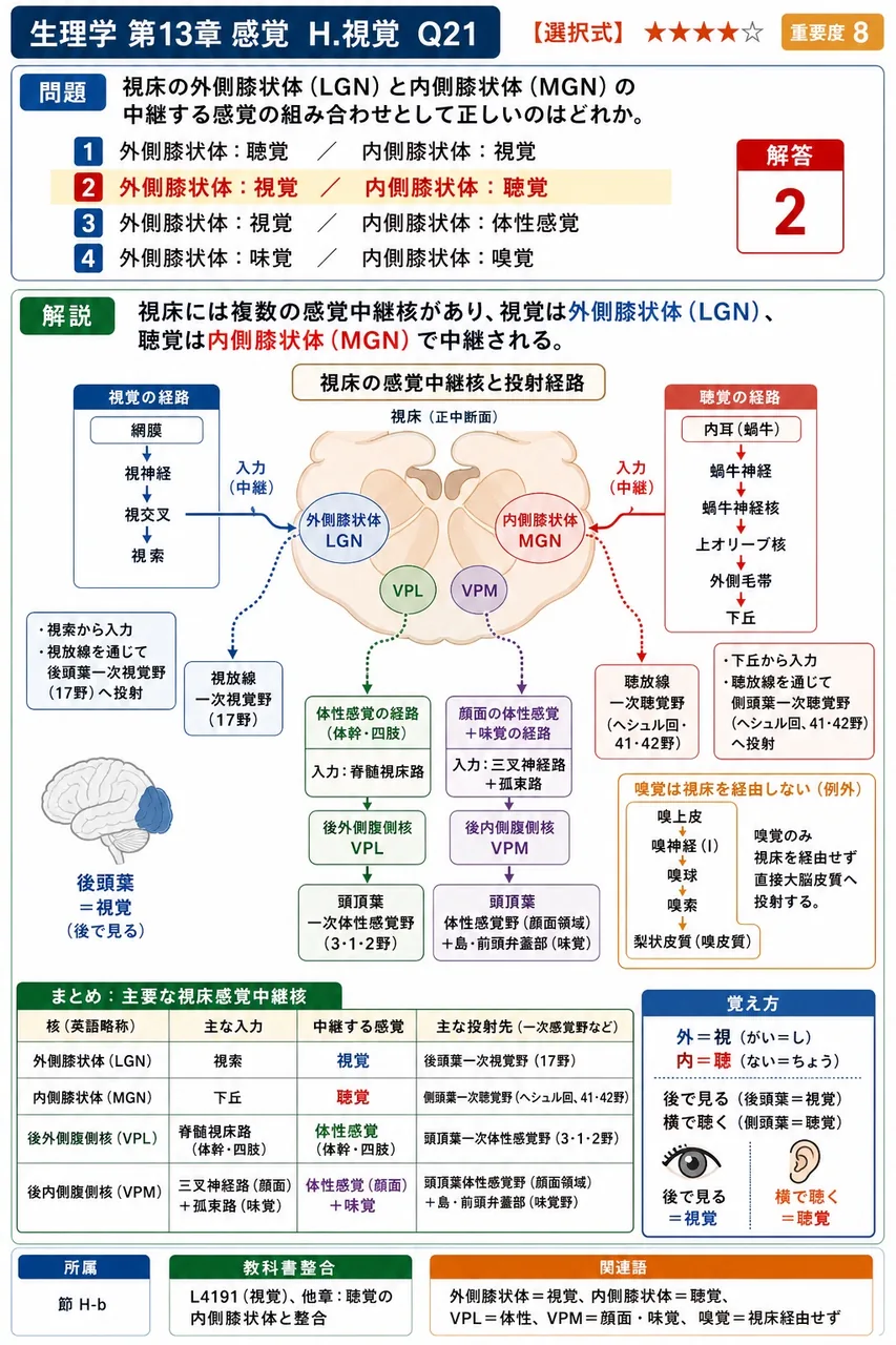 視床の外側膝状体(LGN)と内側膝状体(MGN)の中継する感覚の組み合わせとして**正しい**のはどれか。 解説図