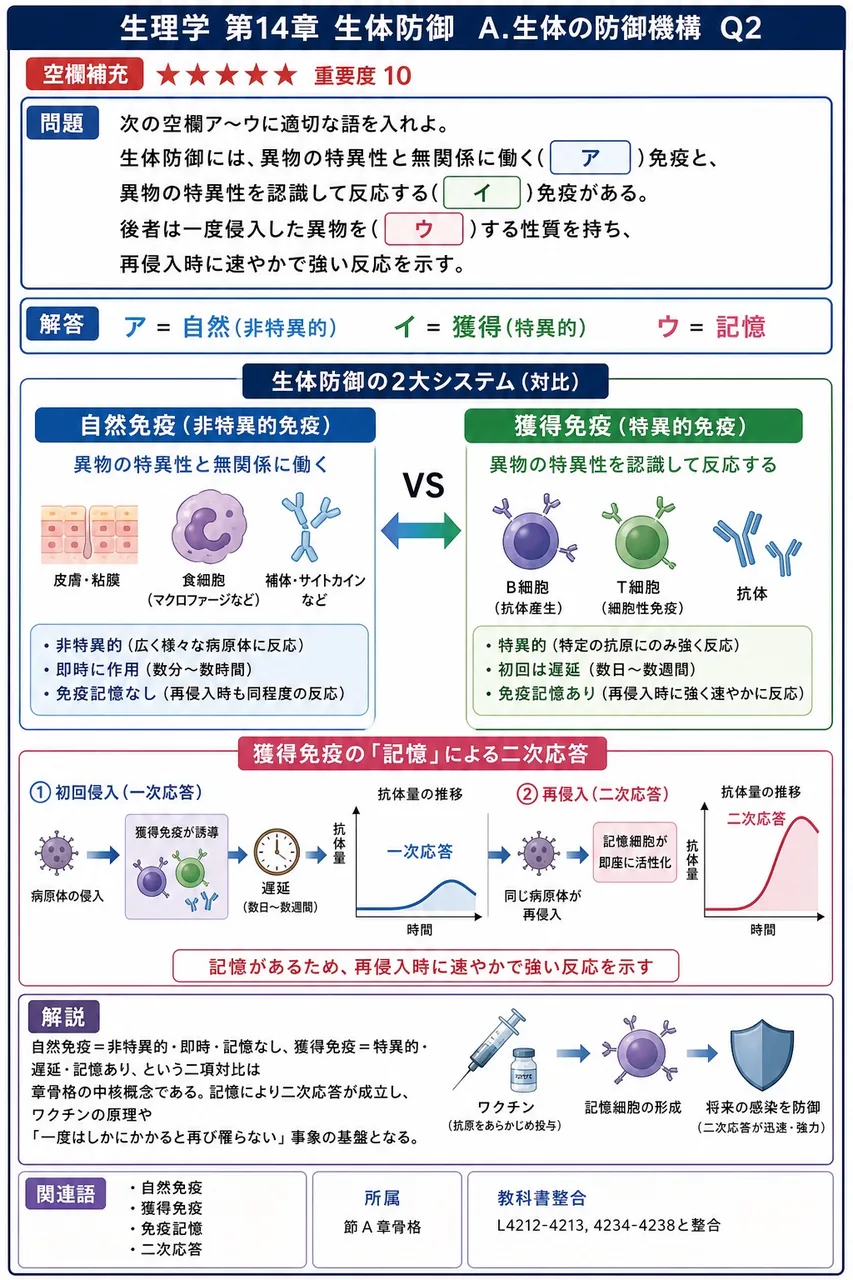 次の空欄ア〜ウに適切な語を入れよ。 「生体防御には、異物の特異性と無関係に働く（ ア ）免疫と、異物の特異性を認識して反応する（ イ ）免疫がある。後者は一度侵入した異物を（ ウ ）する性質を持ち、再侵入時に速やかで強い反応を示す。」 解説図