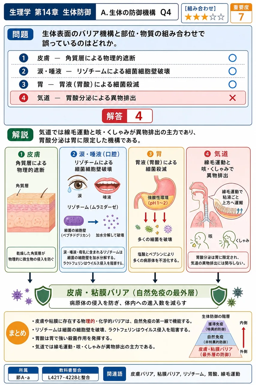 生体表面のバリア機構と部位・物質の組み合わせで誤っているのはどれか。 解説図