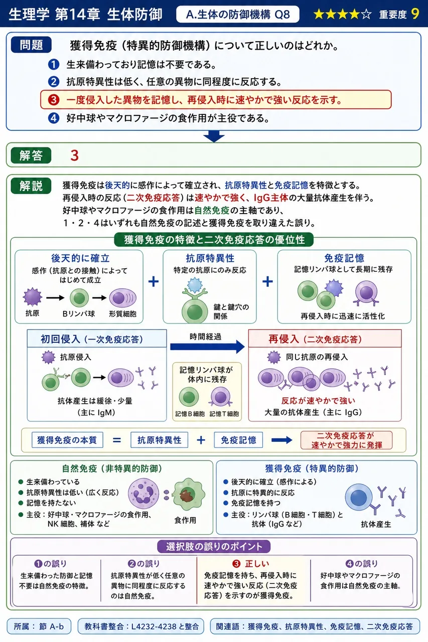 獲得免疫（特異的防御機構）について正しいのはどれか。 解説図