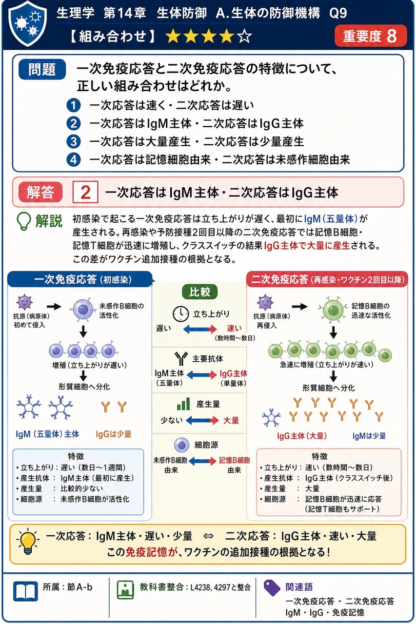 一次免疫応答と二次免疫応答の特徴について、正しい組み合わせはどれか。 解説図