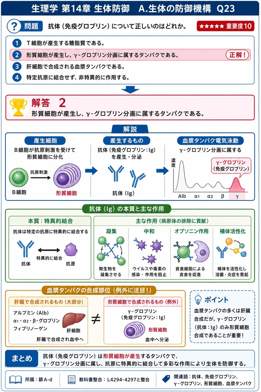 抗体（免疫グロブリン）について正しいのはどれか。 解説図
