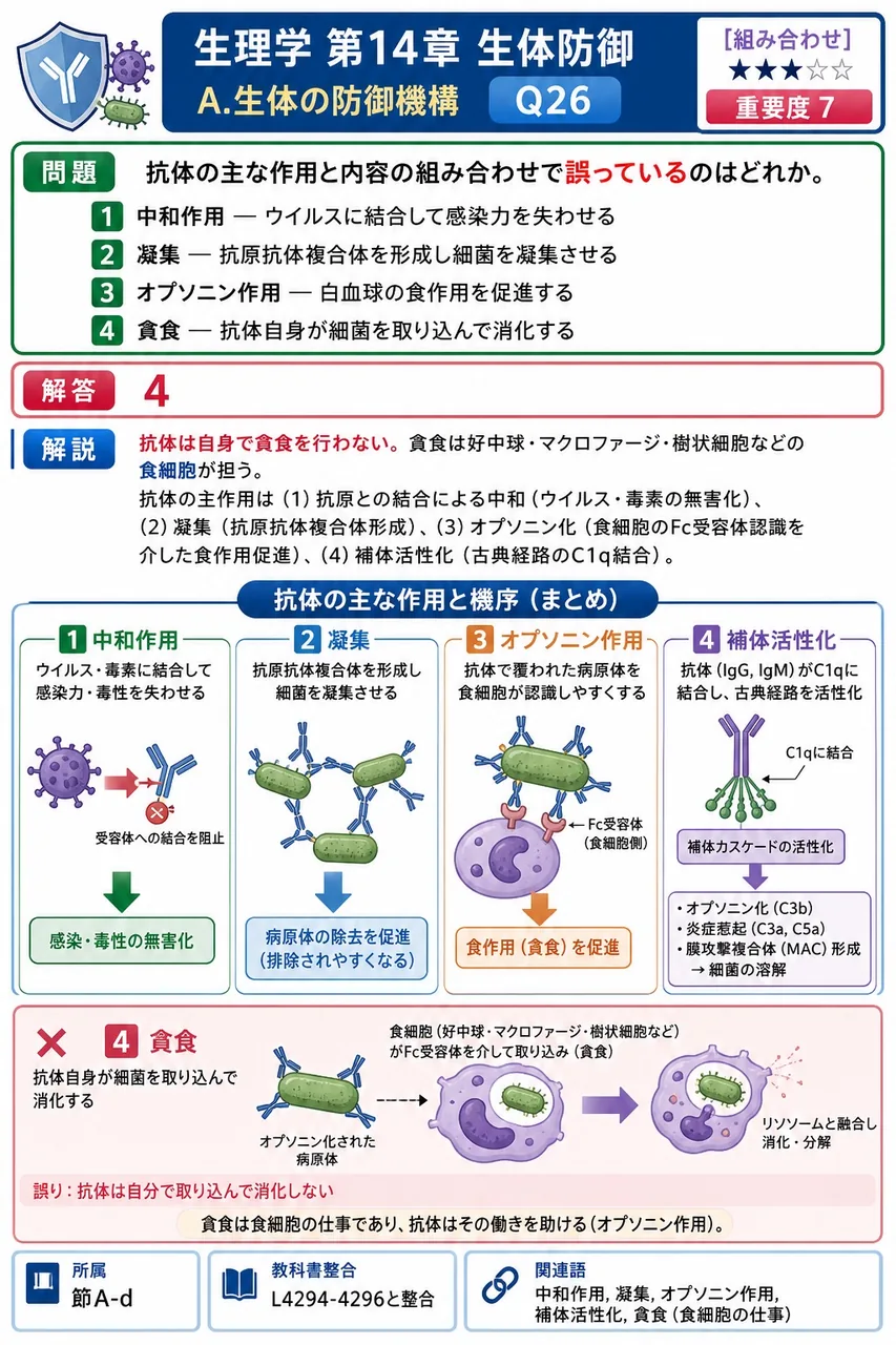 抗体の主な作用と内容の組み合わせで誤っているのはどれか。 解説図