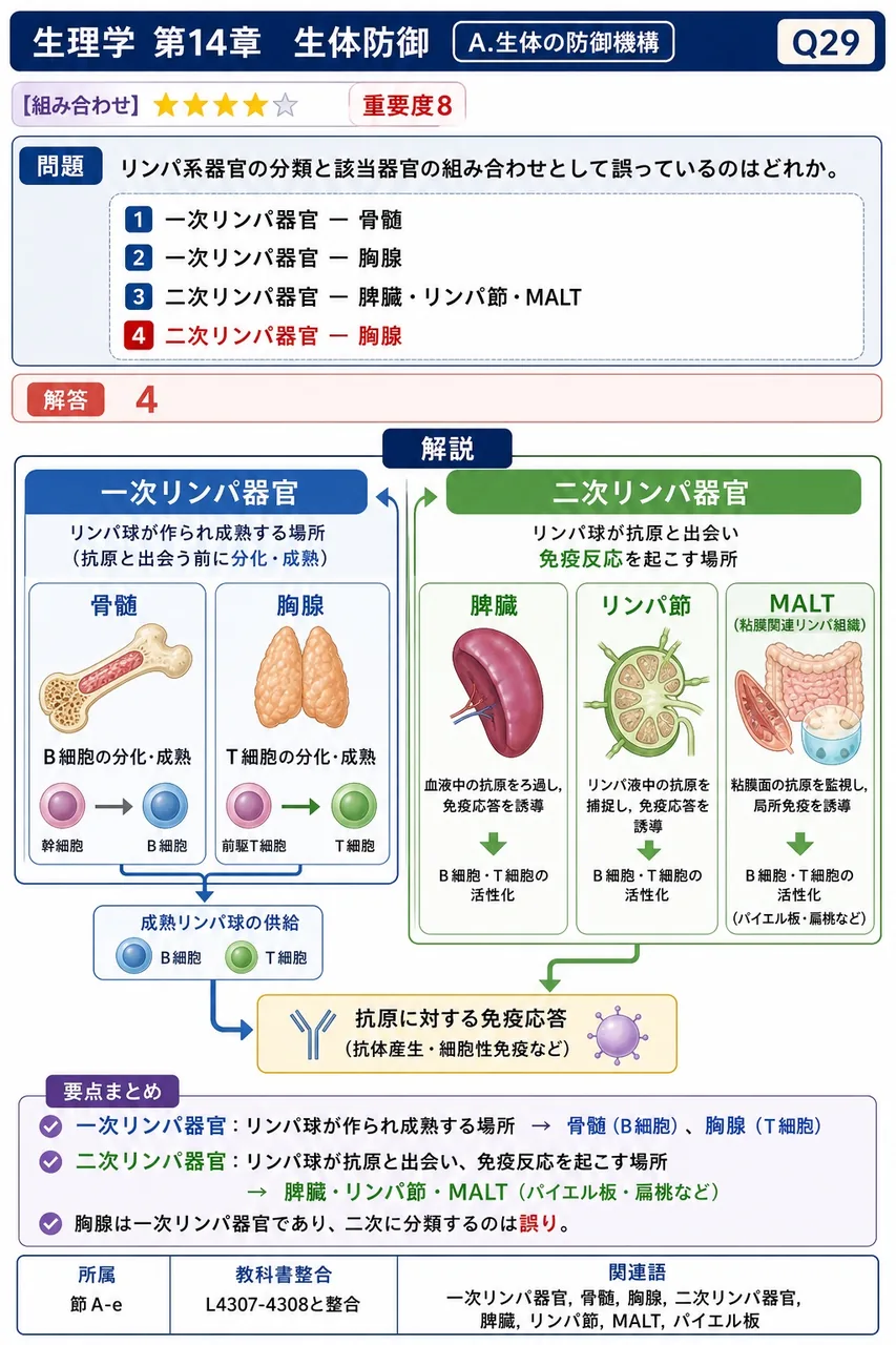 リンパ系器官の分類と該当器官の組み合わせとして誤っているのはどれか。 解説図
