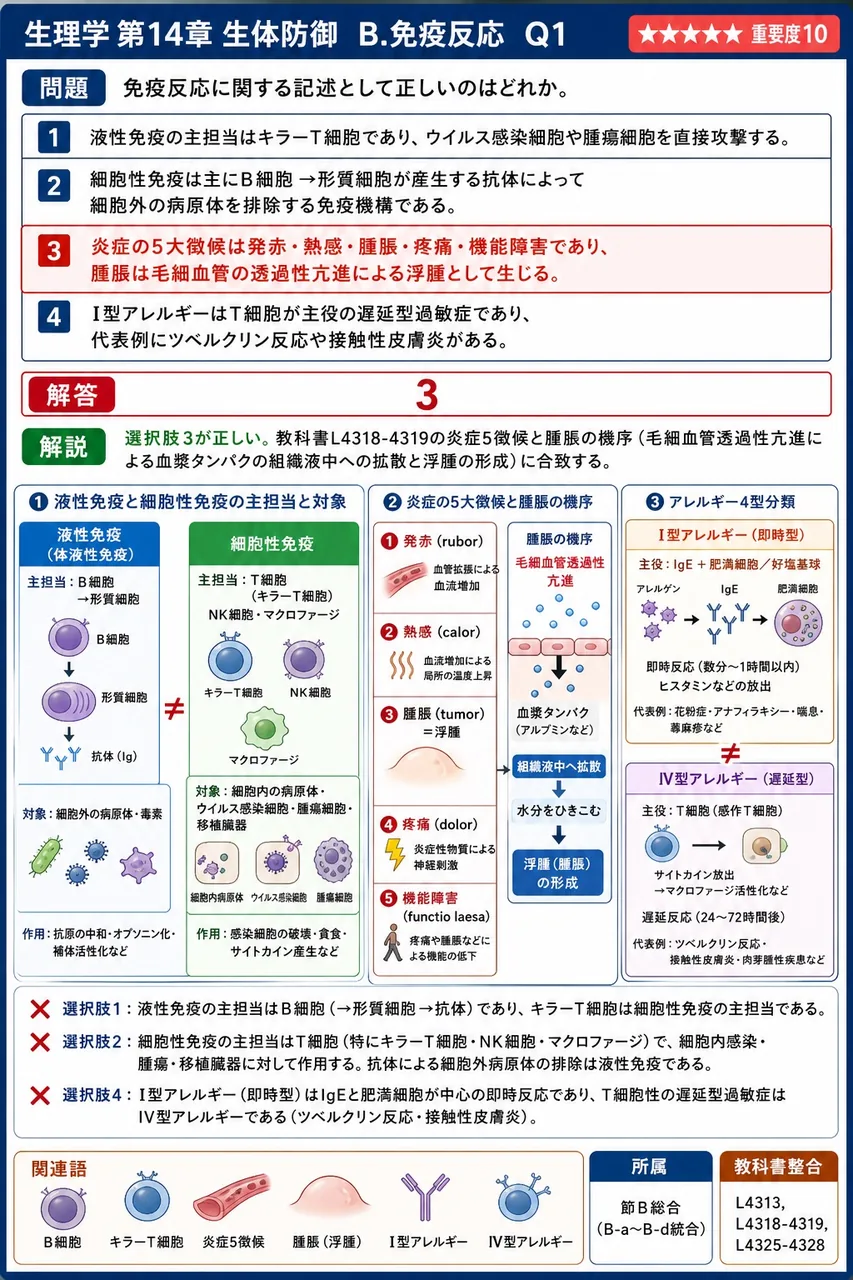 免疫反応に関する記述として正しいのはどれか。 解説図