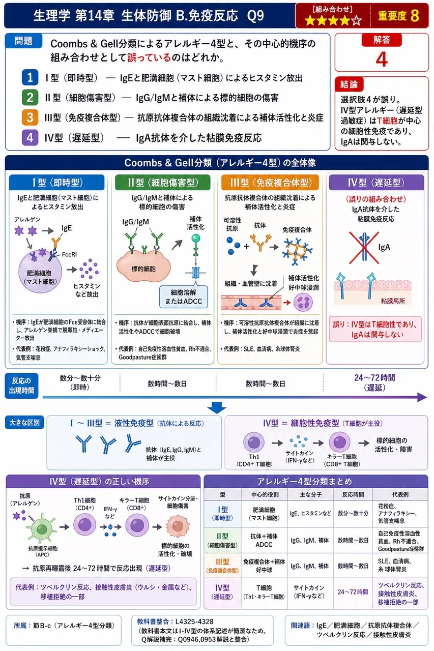 Coombs & Gell分類によるアレルギー4型と、その中心的機序の組み合わせとして誤っているのはどれか。 解説図
