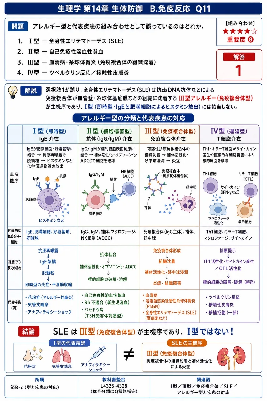 アレルギー型と代表疾患の組み合わせとして誤っているのはどれか。 解説図