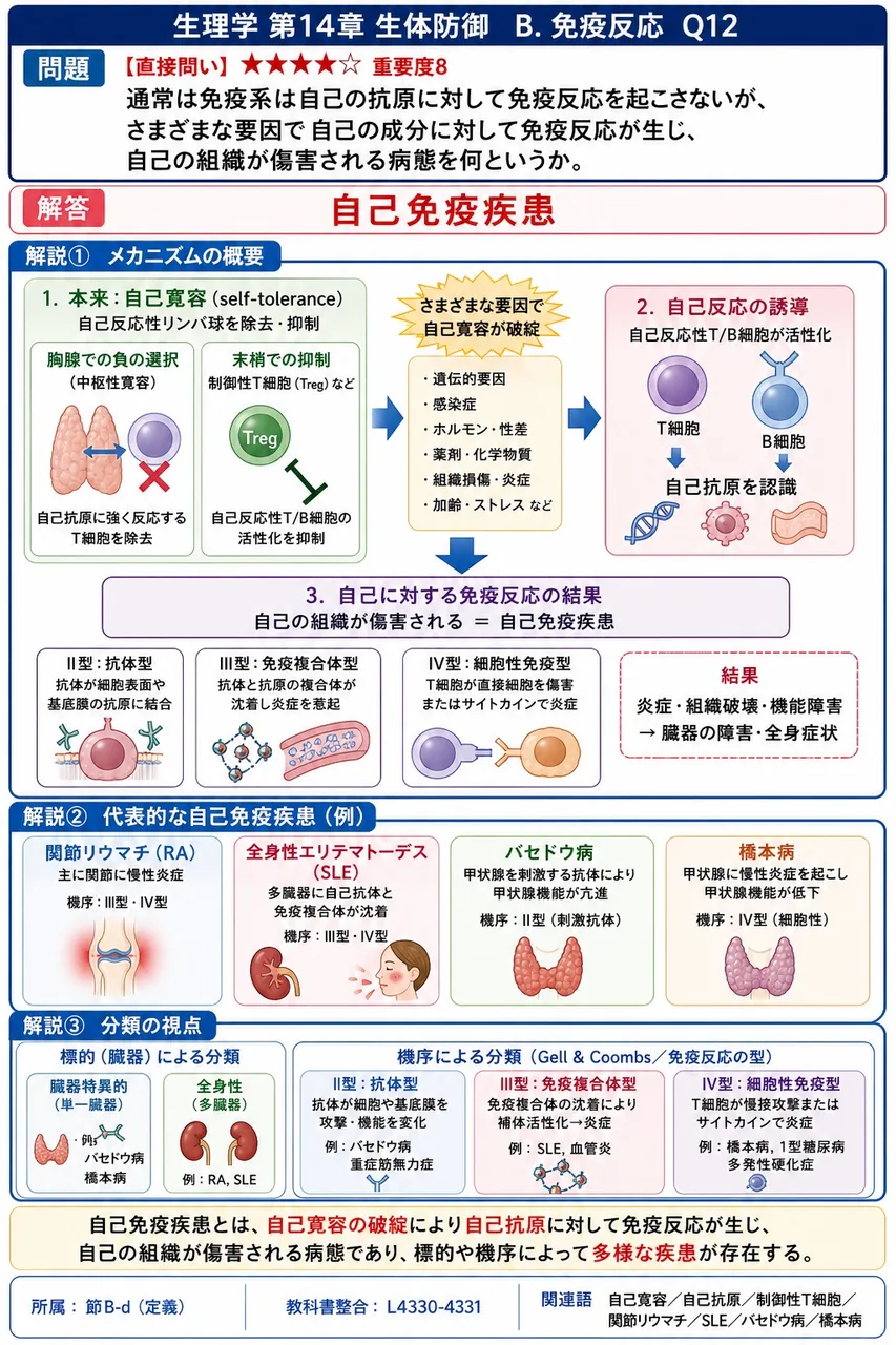 通常は免疫系は自己の抗原に対して免疫反応を起こさないが、さまざまな要因で自己の成分に対して免疫反応が生じ、自己の組織が傷害される病態を何というか。 解説図