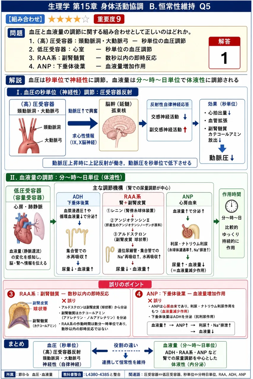 血圧と血液量の調節に関する組み合わせとして正しいのはどれか。 解説図