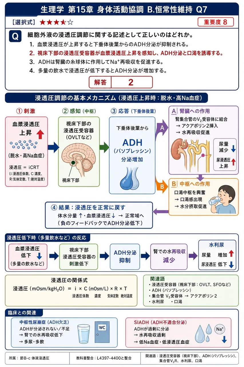 細胞外液の浸透圧調節に関する記述として正しいのはどれか。 解説図