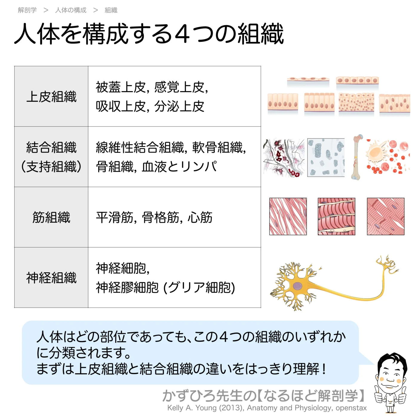 ４つの組織