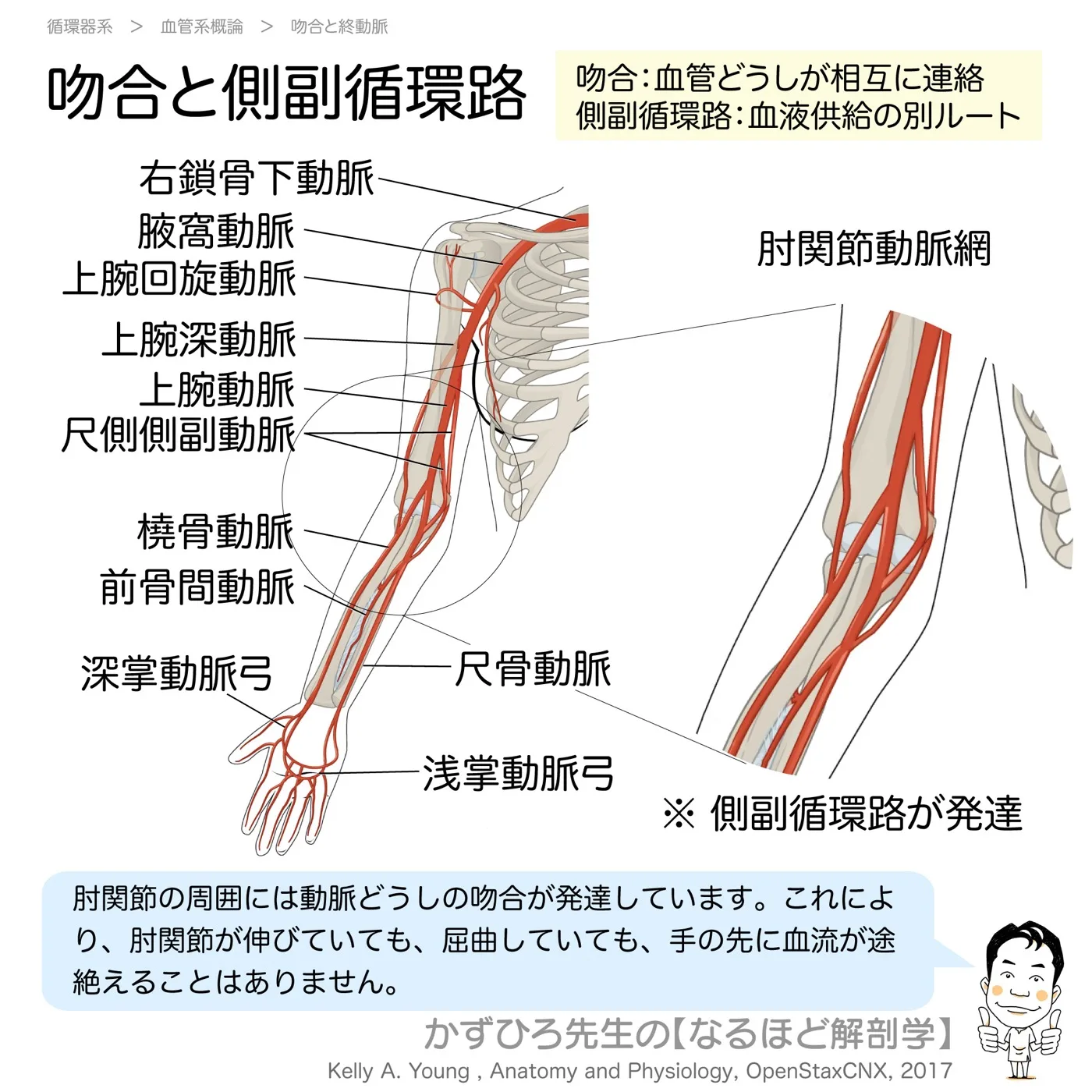吻合