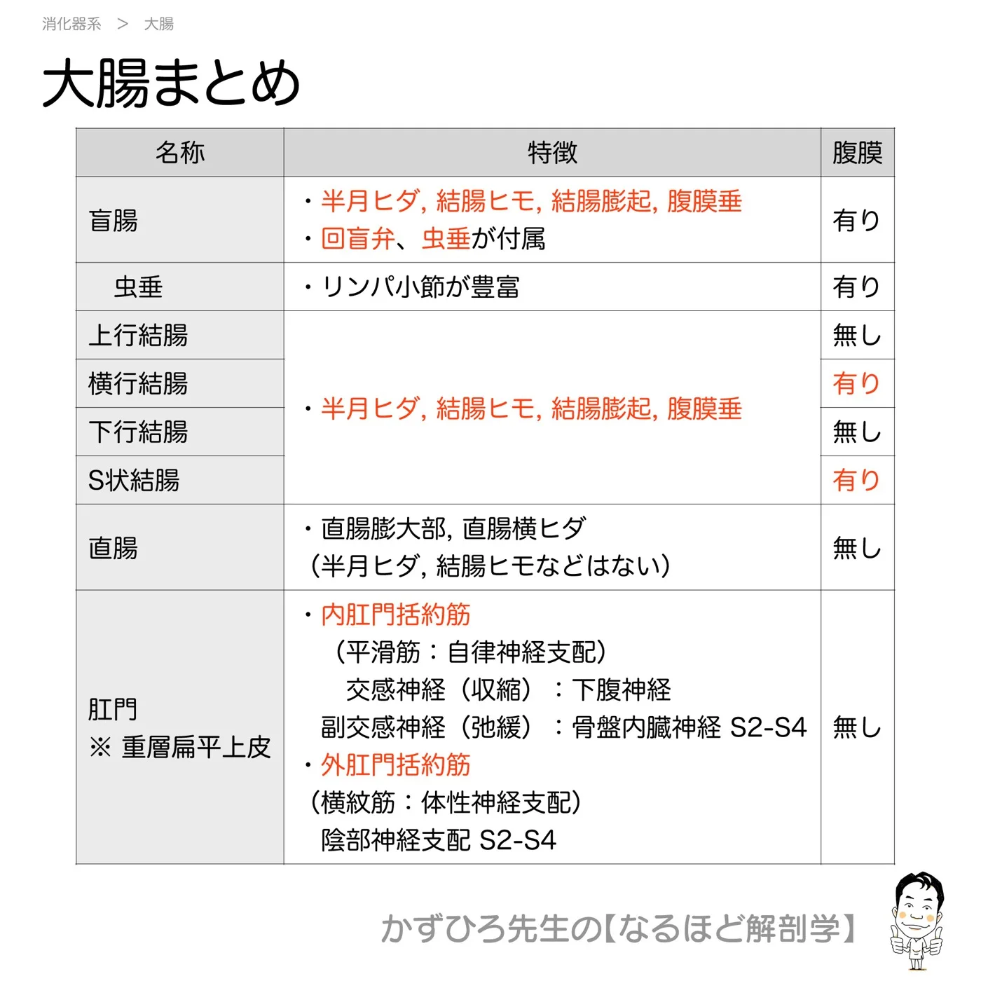 大腸まとめ