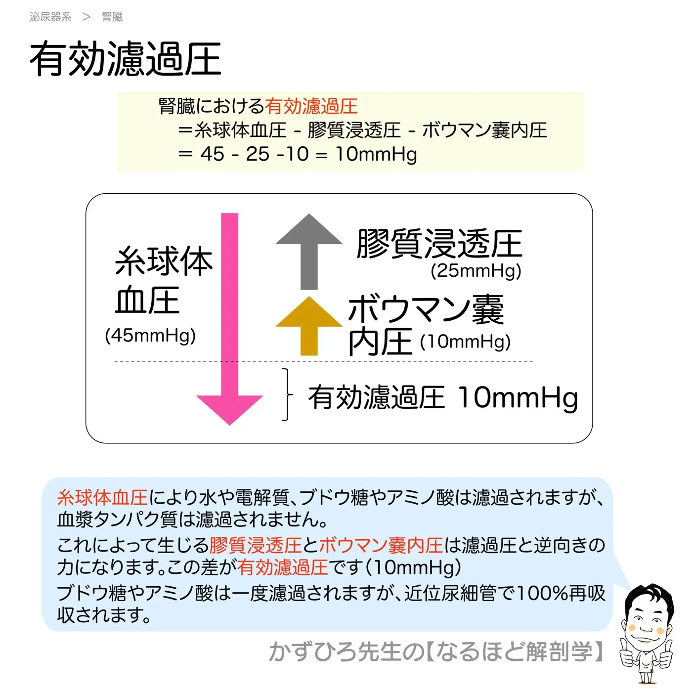有効濾過圧