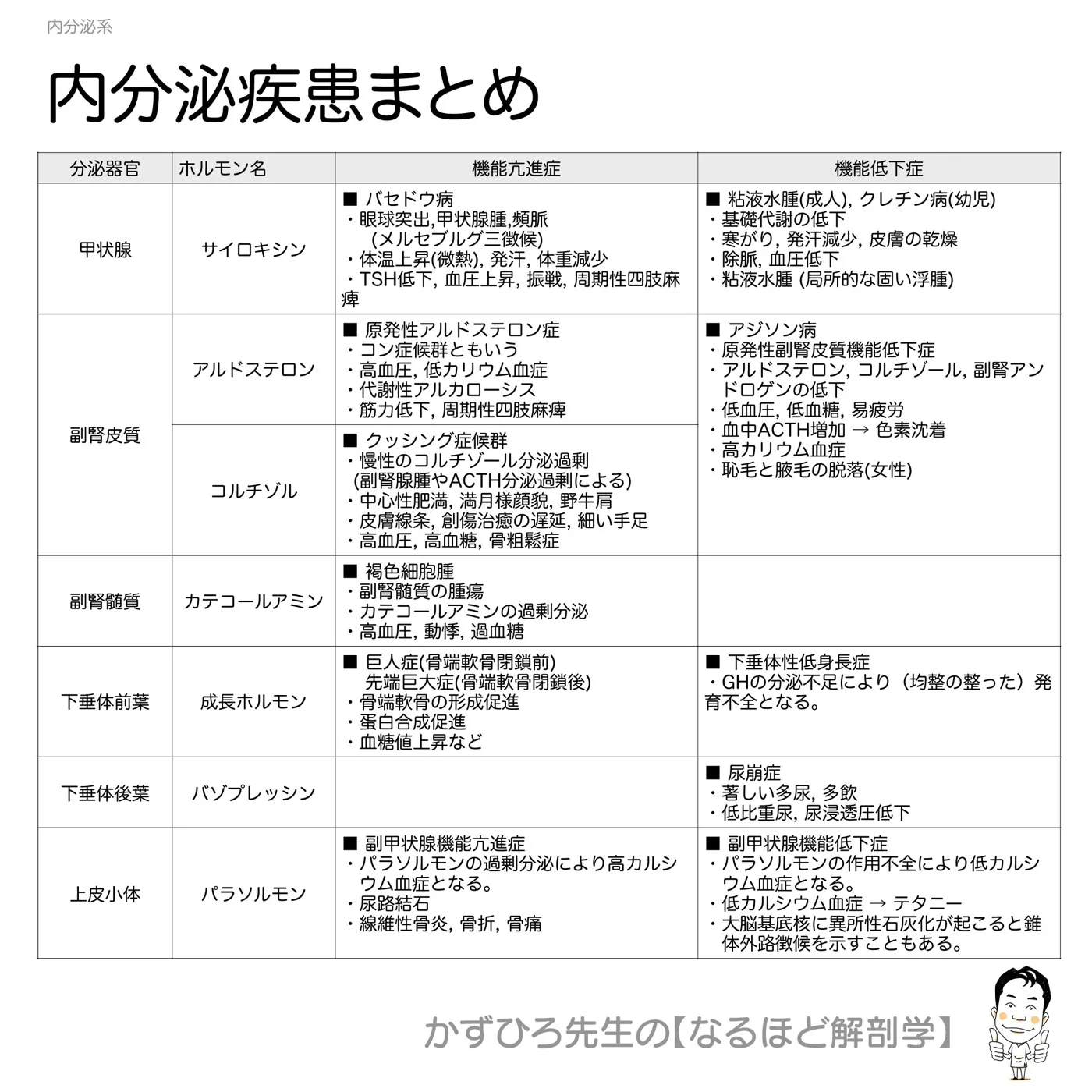 内分泌系-内分泌疾患まとめ