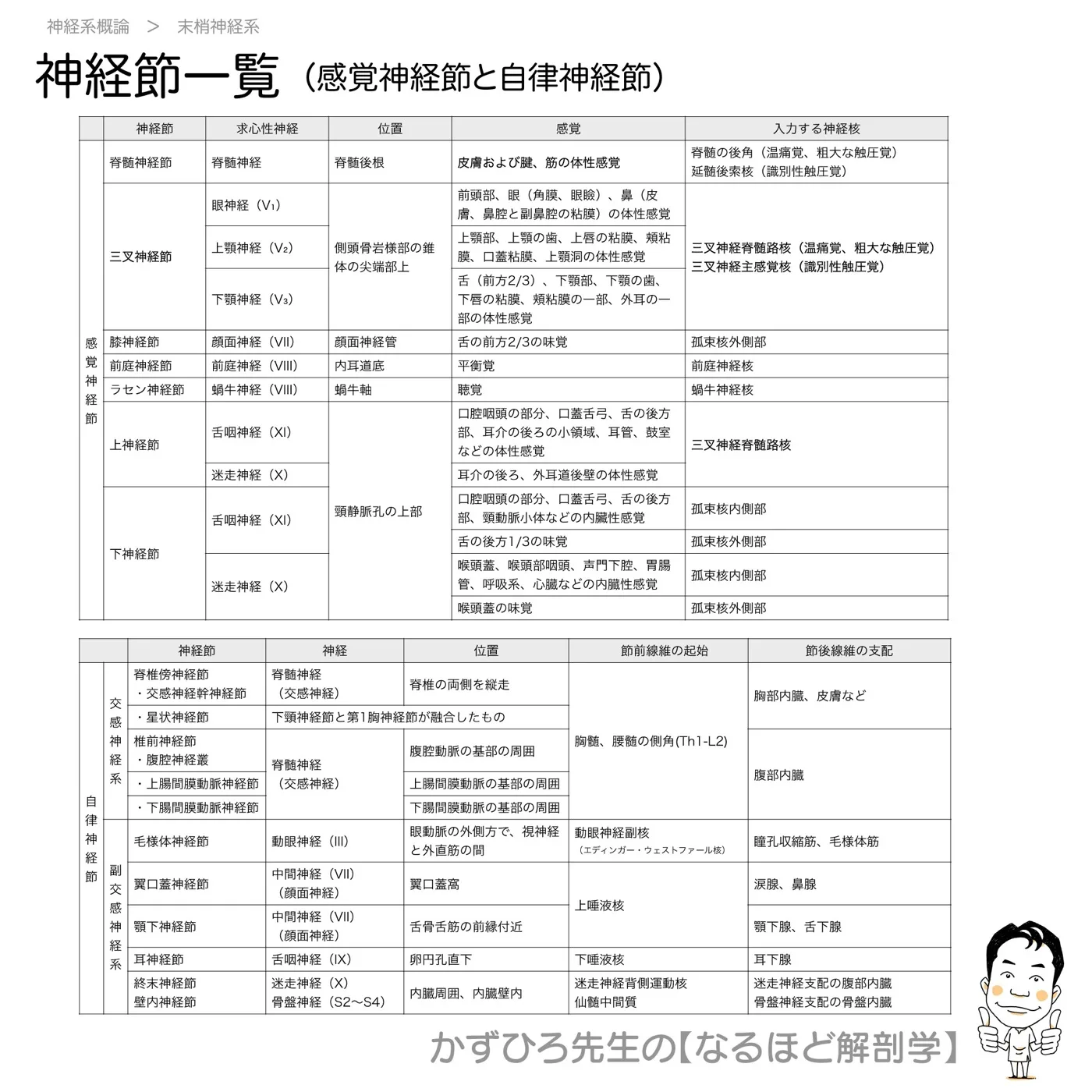 神経節一覧