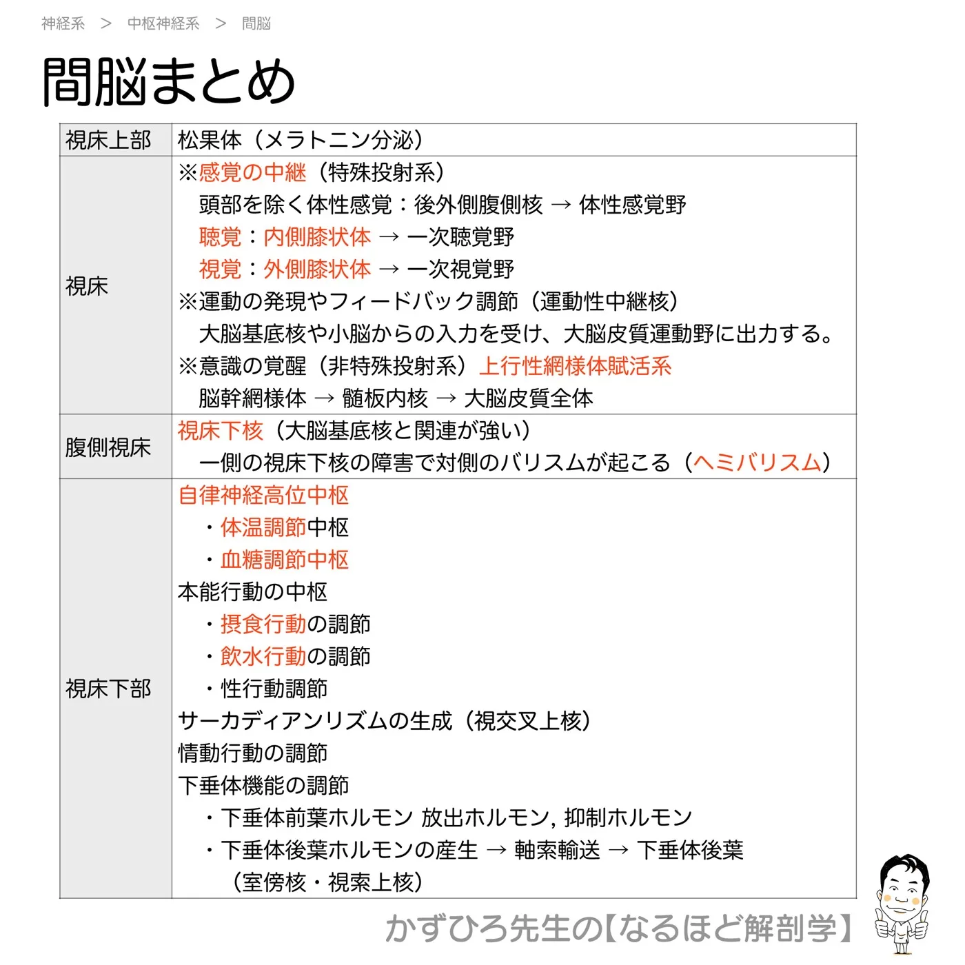 間脳の機能-まとめ