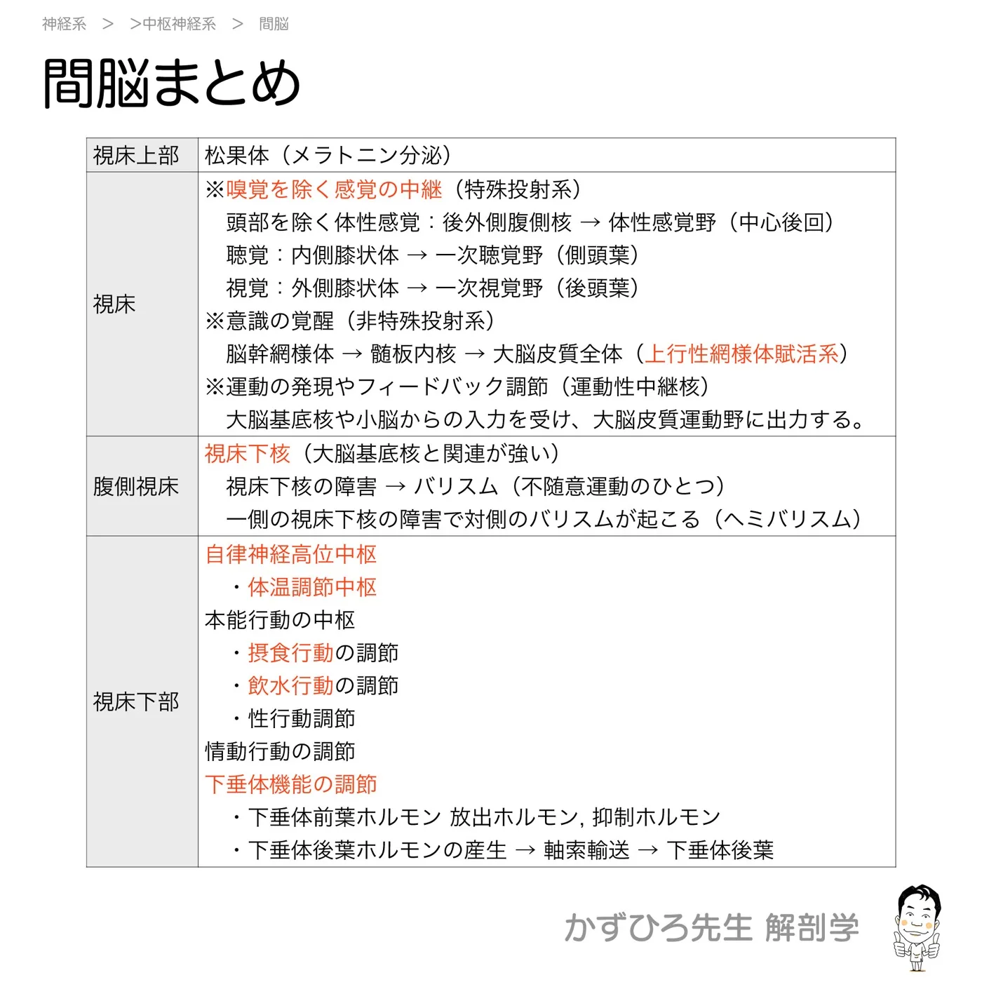 間脳まとめ