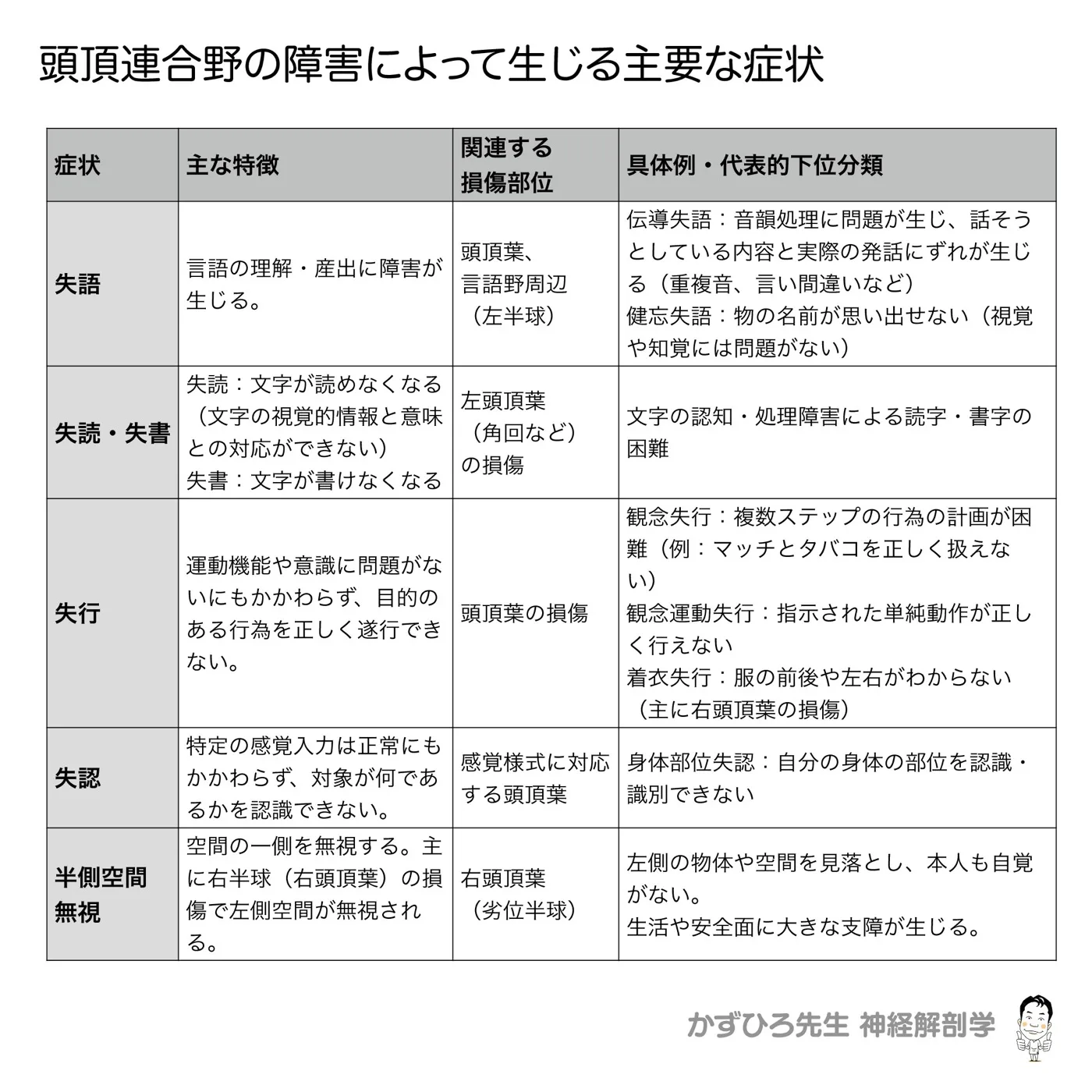 頭頂連合野の障害によって起きる症状