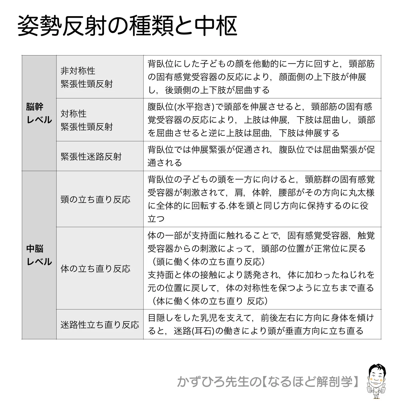 姿勢反射の種類と中枢