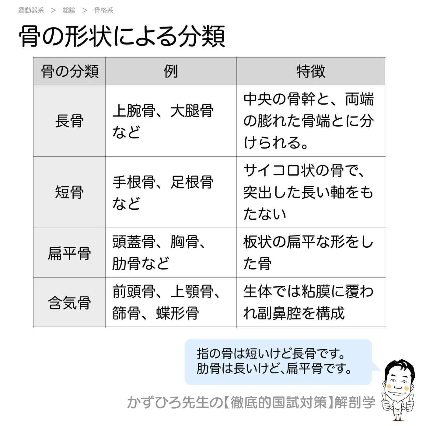 骨の分類