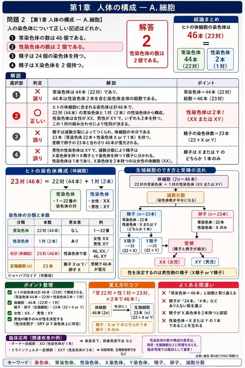 鍼灸 第4回(1996) 問題15｜人の染色体について正しい記述はどれか。 解説図