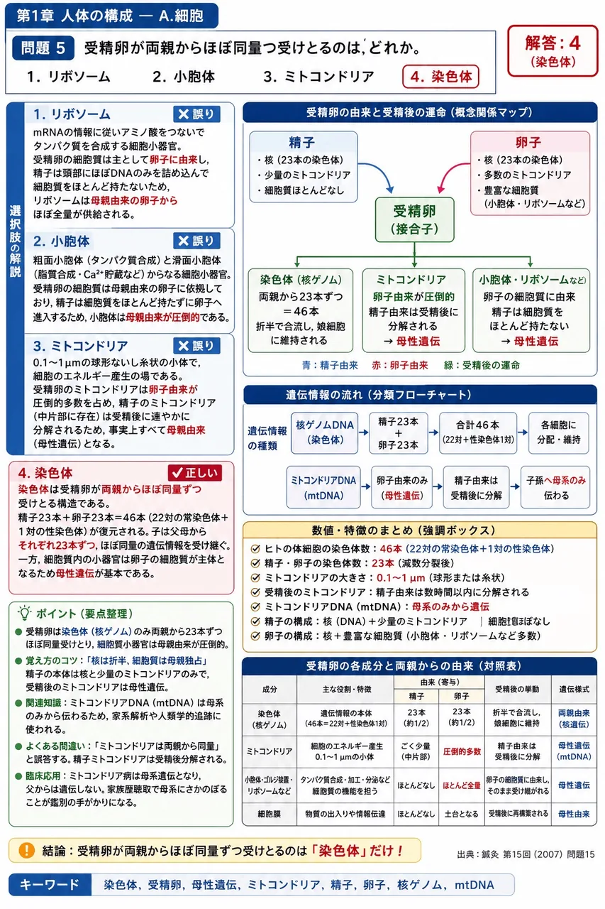 鍼灸 第15回(2007) 問題15|受精卵が両親からほぼ同量ずつ受けとるのはどれか。 解説図