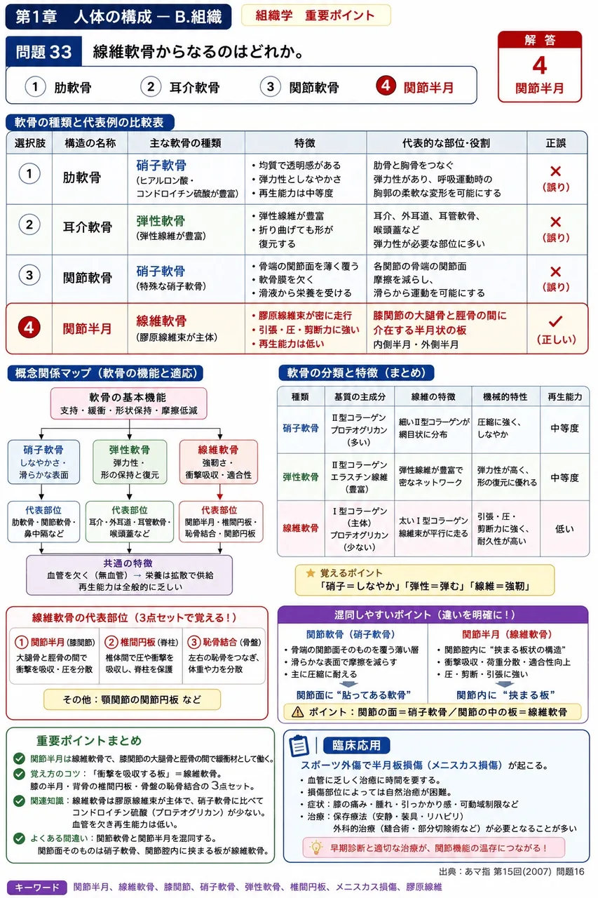 あマ指 第15回(2007) 問題16｜線維軟骨からなるのはどれか。 解説図