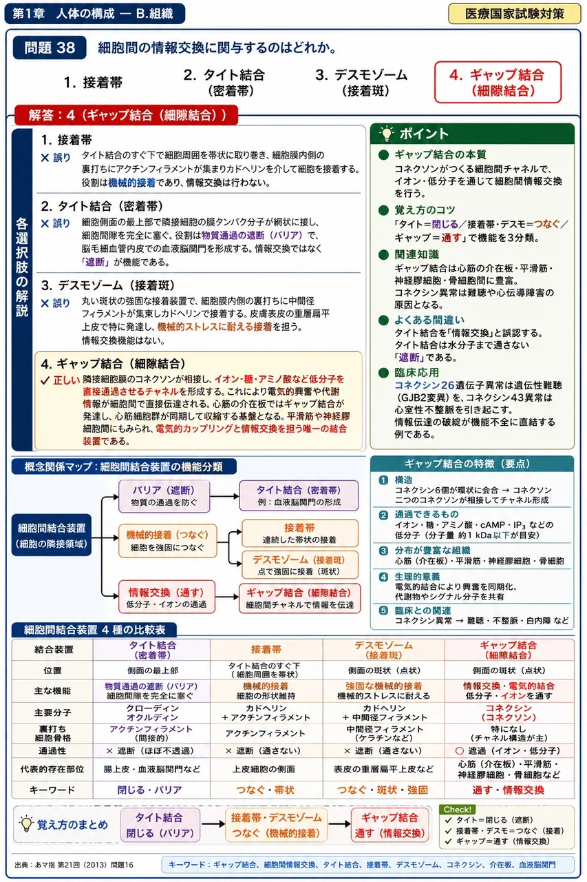 あマ指 第21回(2013) 問題16｜細胞間の情報交換に関与するのはどれか。 解説図