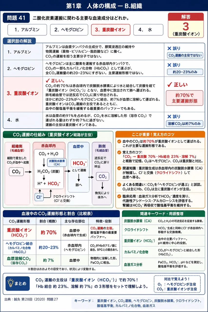 鍼灸 第28回(2020) 問題27｜二酸化炭素運搬に関わる主要な血液成分はどれか。 解説図