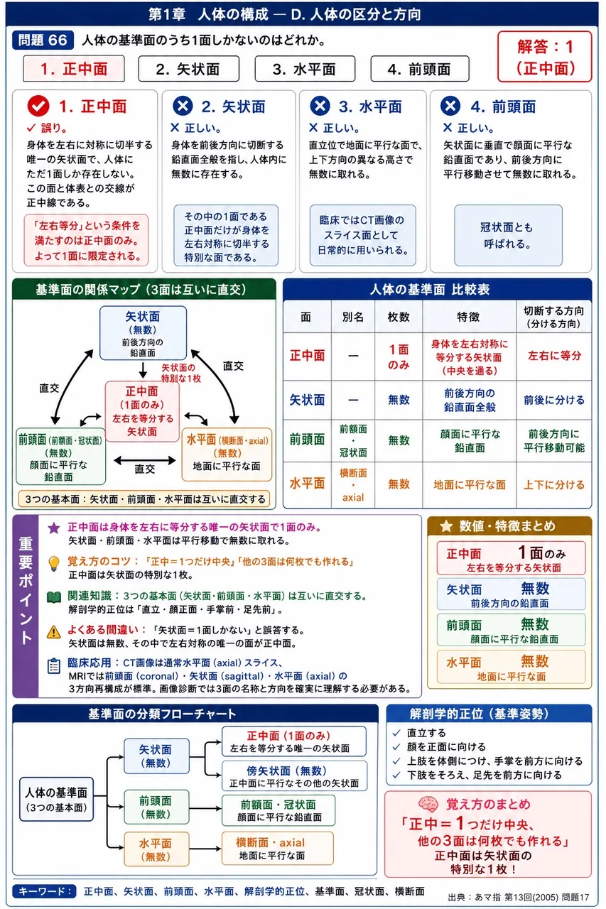 あマ指 第13回(2005) 問題17｜人体の基準面のうち1面しかないのはどれか。 解説図