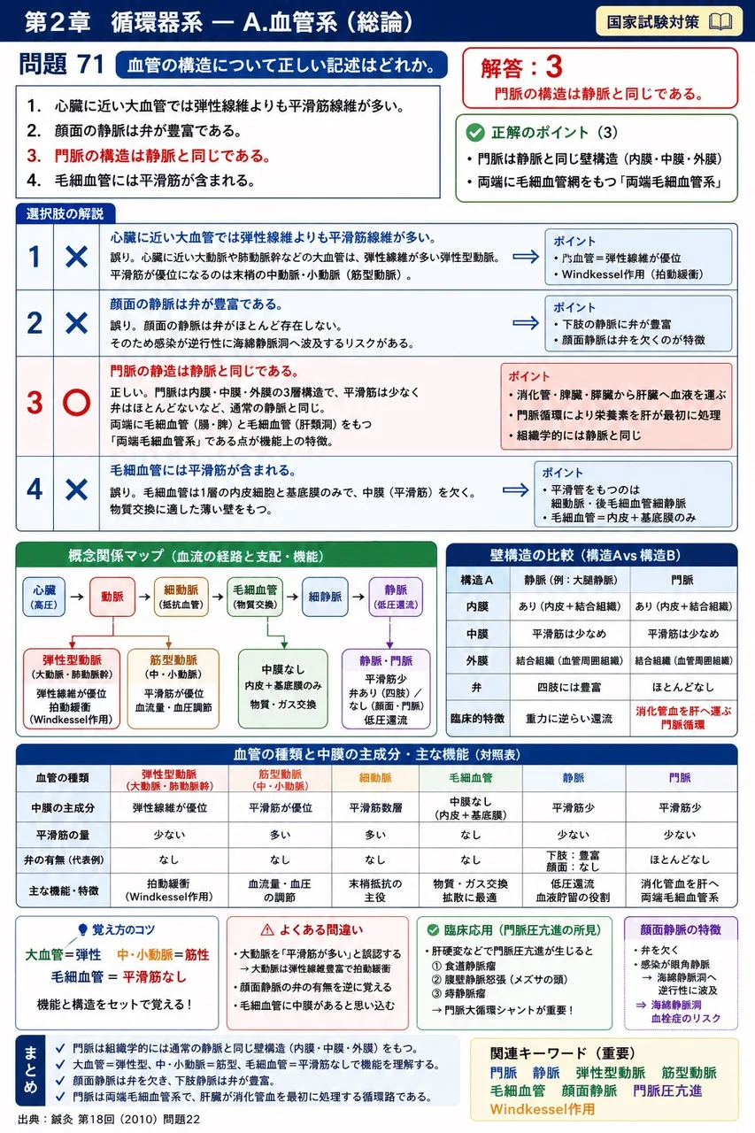鍼灸 第18回(2010) 問題22｜血管の構造について正しい記述はどれか。 解説図