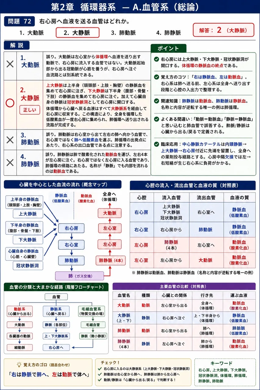 あマ指 第3回(1995) 問題29｜右心房へ血液を送る血管はどれか。 解説図