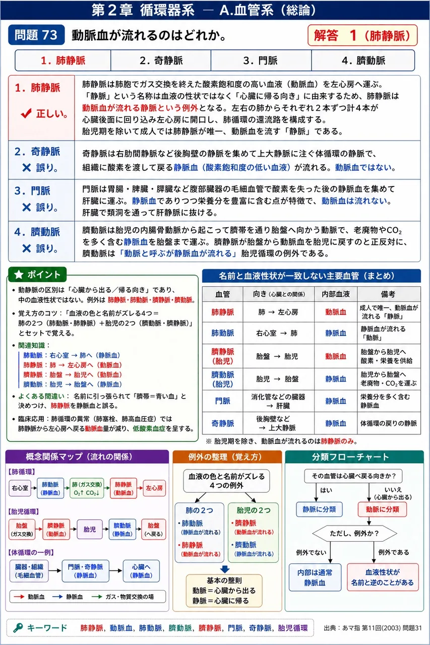 あマ指 第11回(2003) 問題31｜動脈血が流れるのはどれか。 解説図