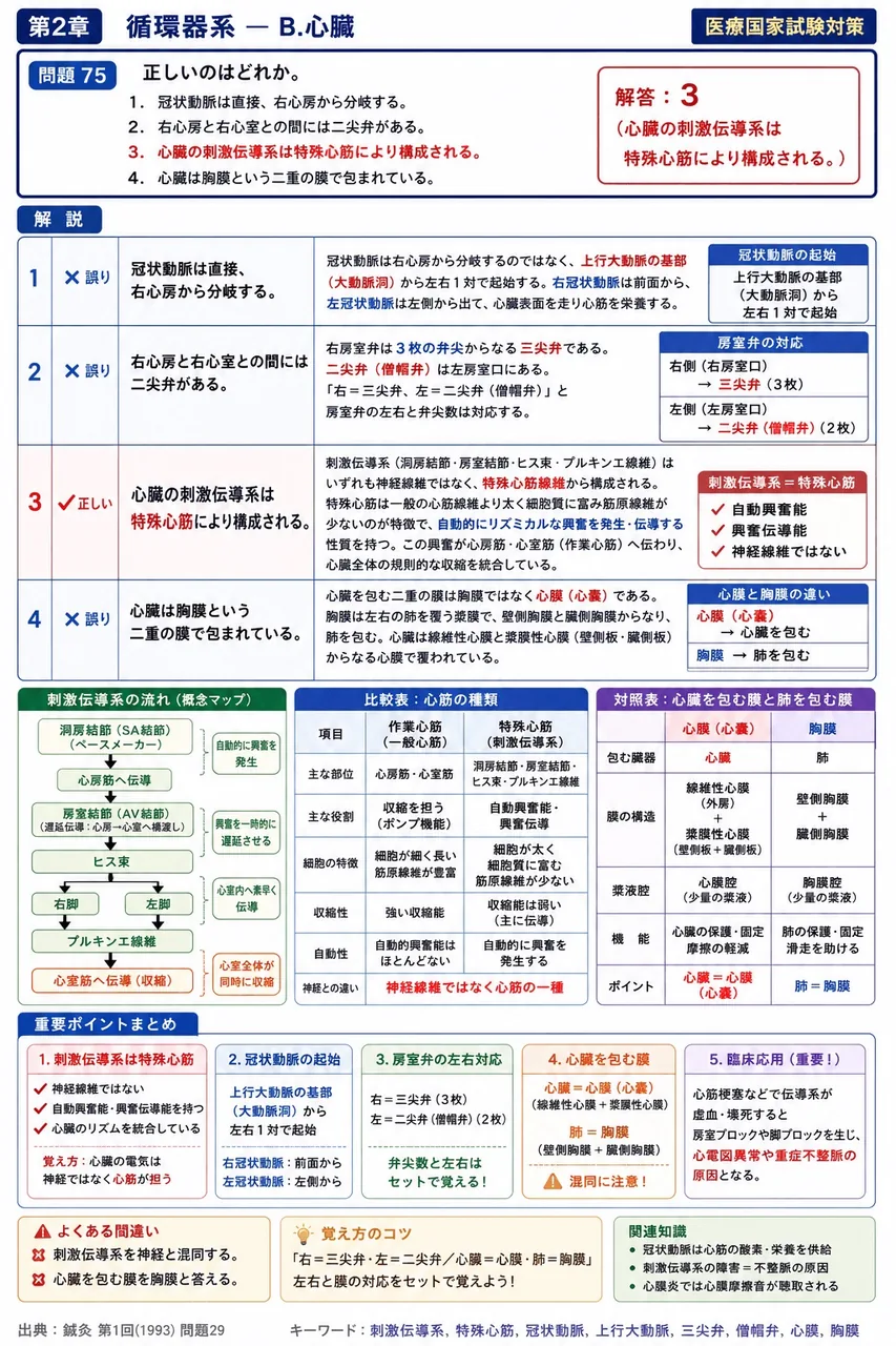 鍼灸 第1回(1993) 問題29｜正しいのはどれか。 解説図