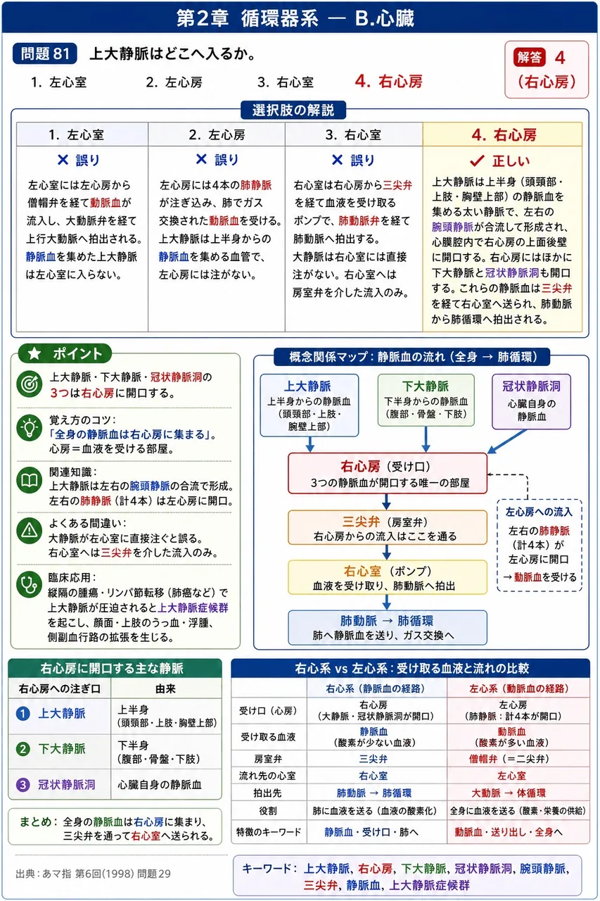 あマ指 第6回(1998) 問題29｜上大静脈はどこへ入るか。 解説図