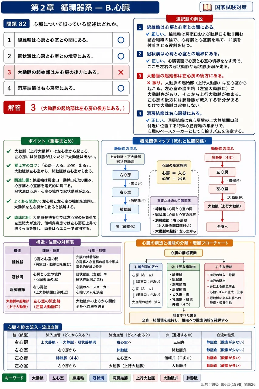 鍼灸 第6回(1998) 問題26｜心臓について誤っている記述はどれか。 解説図