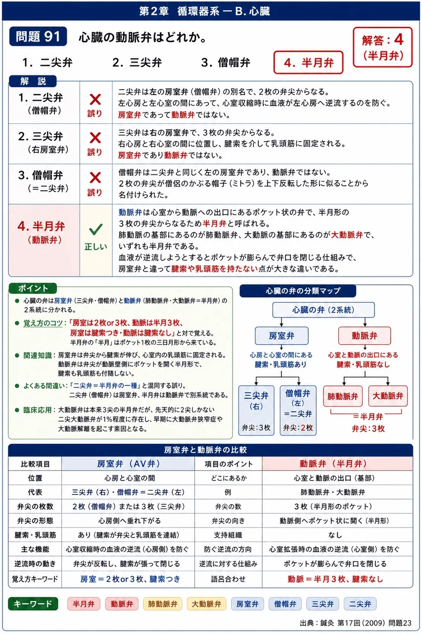 鍼灸 第17回(2009) 問題23｜心臓の動脈弁はどれか。 解説図