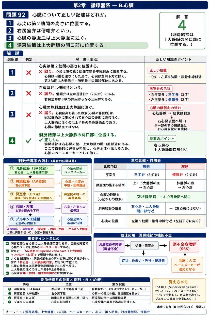鍼灸 第19回(2011) 問題23｜心臓について正しい記述はどれか。 解説図