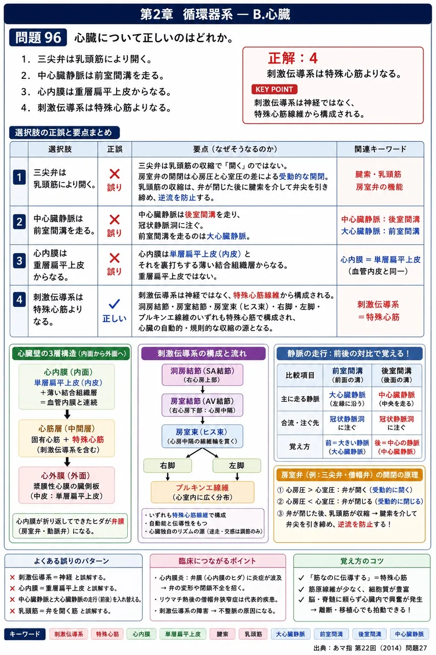あマ指 第22回(2014) 問題27｜心臓について正しいのはどれか。 解説図